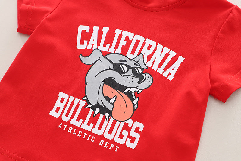 Boys Graphic Printed Pure Cotton T-shirt with Shorts