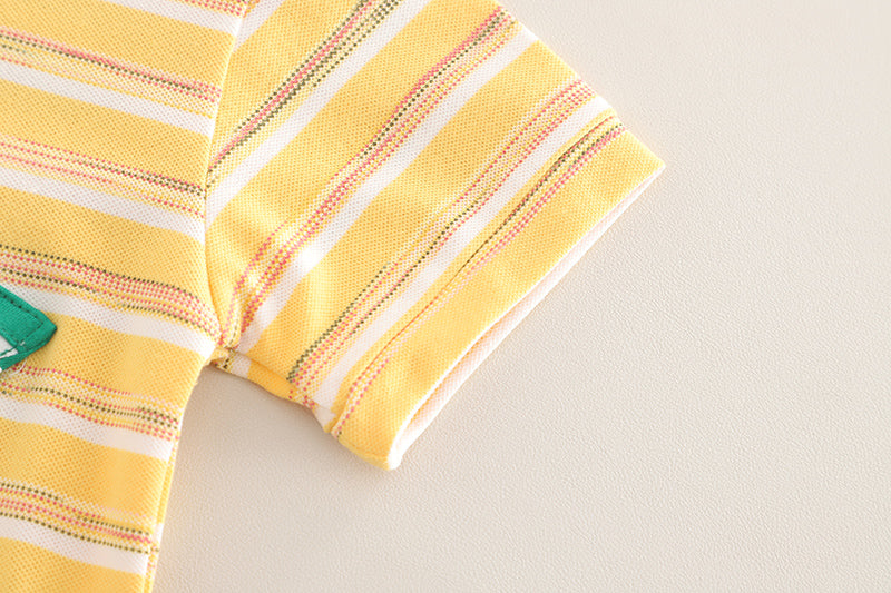 Boys Striped T-shirt With Shorts