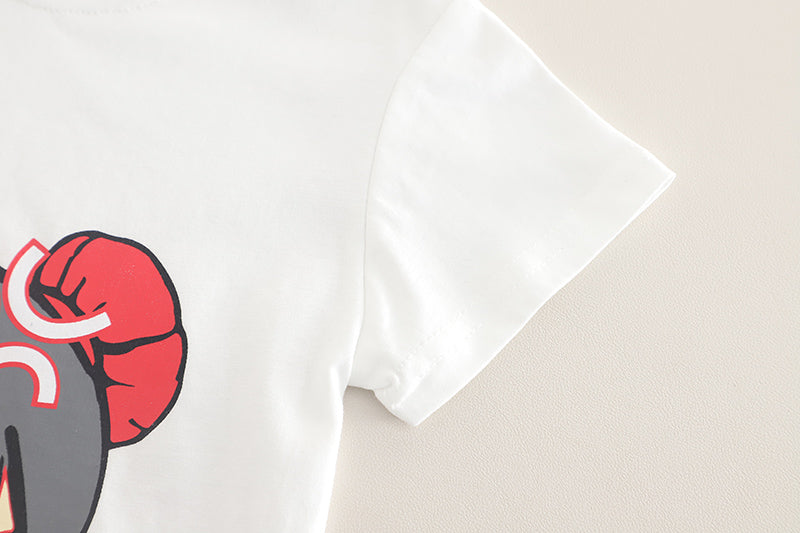 Boys Printed T-shirt with Shorts