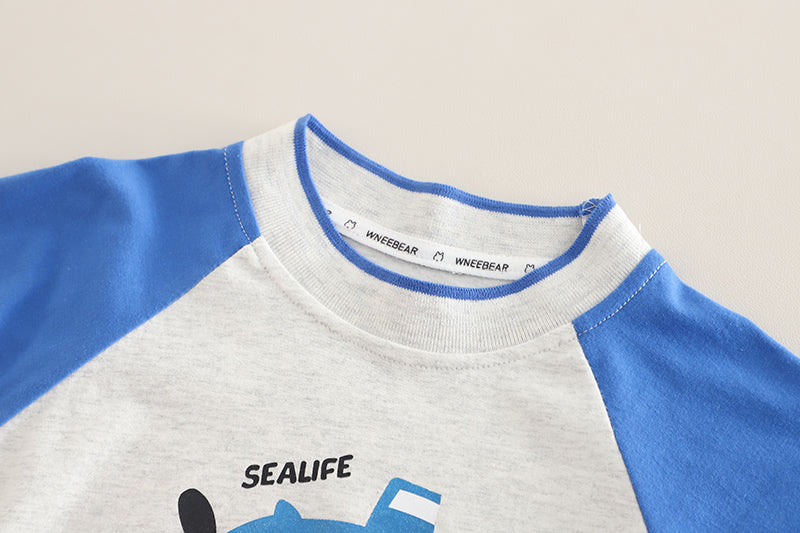 Boys Printed T-shirt with Shorts