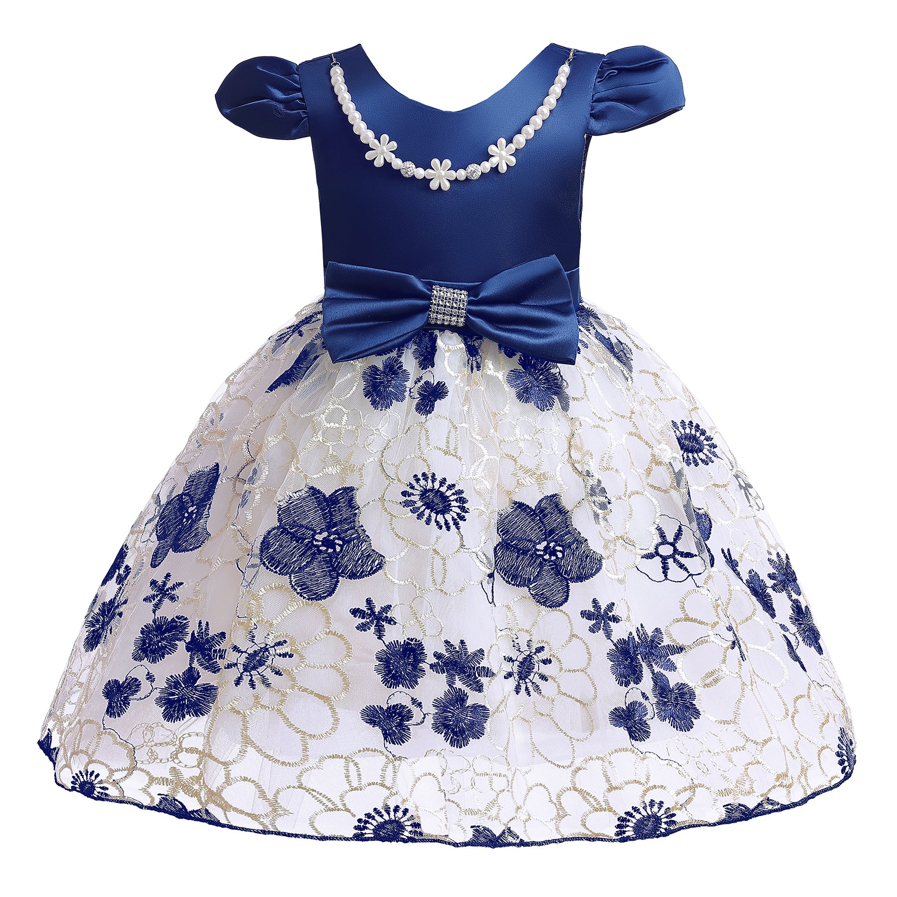 Blue & White Floral Embroidered Puff Sleeve Fit & Flare Dress