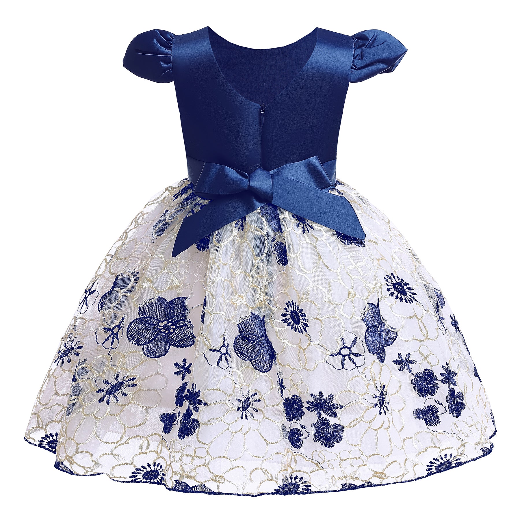 Blue & White Floral Embroidered Puff Sleeve Fit & Flare Dress