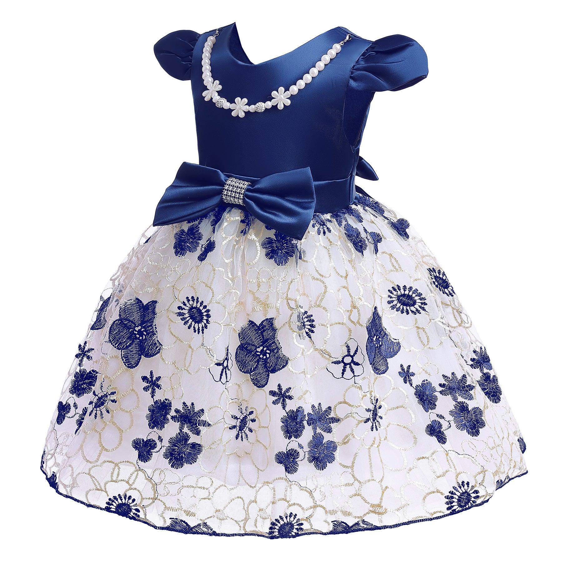 Blue & White Floral Embroidered Puff Sleeve Fit & Flare Dress