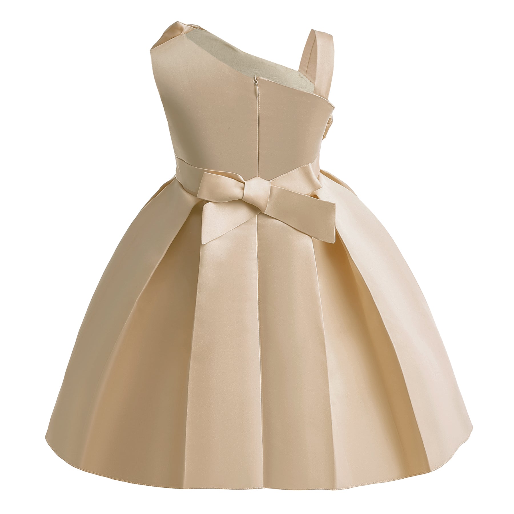 Bow Detailed Fit & Flare Dress