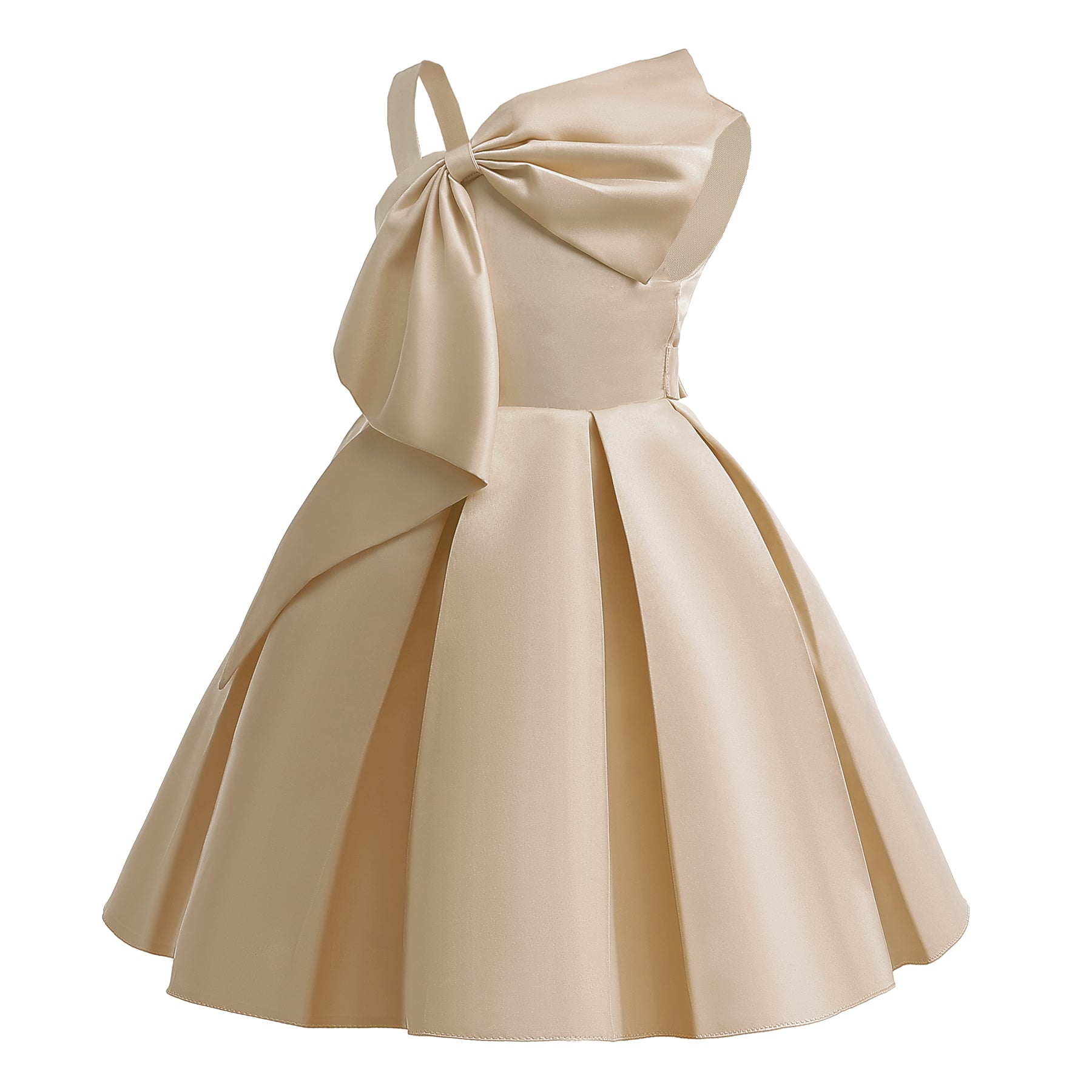 Bow Detailed Fit & Flare Dress