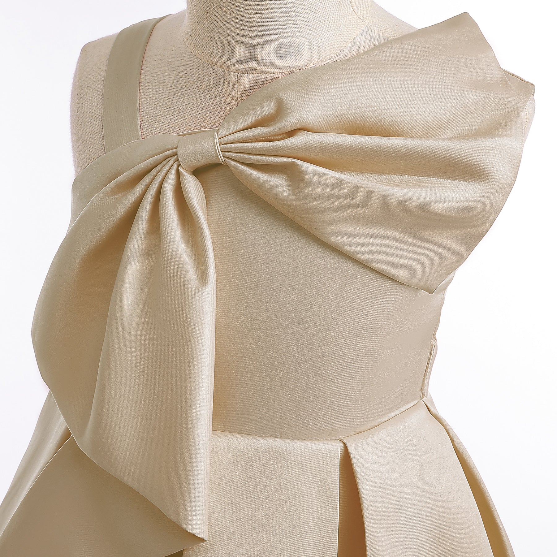 Bow Detailed Fit & Flare Dress