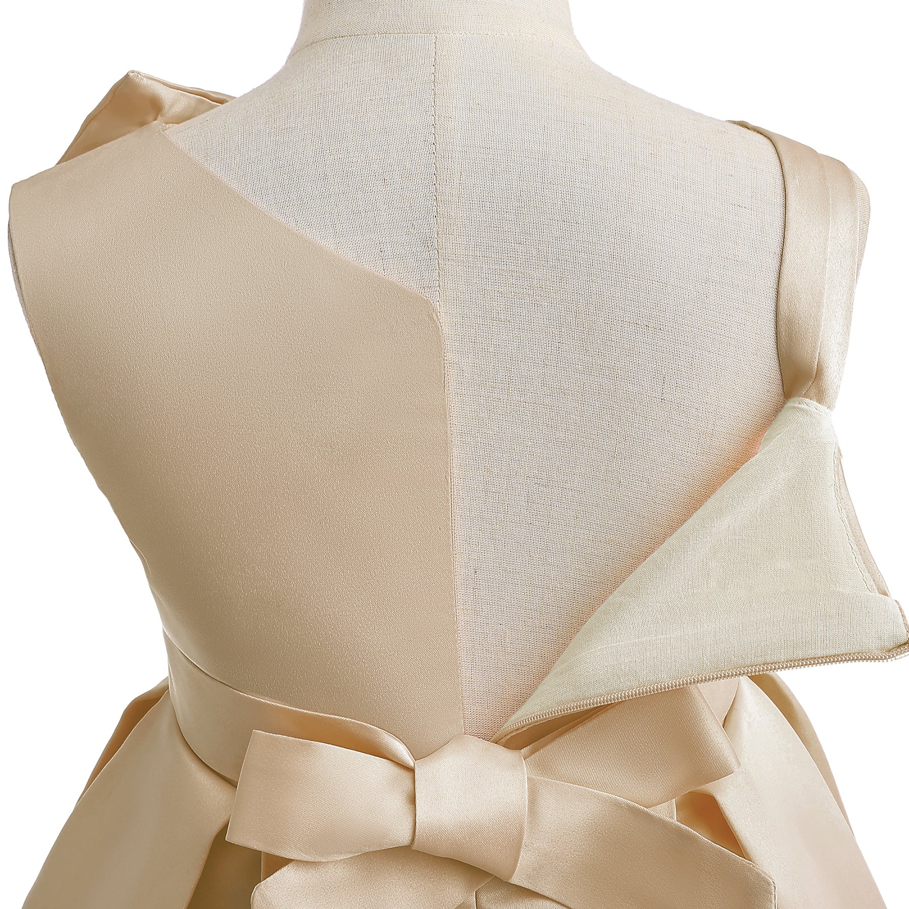 Bow Detailed Fit & Flare Dress