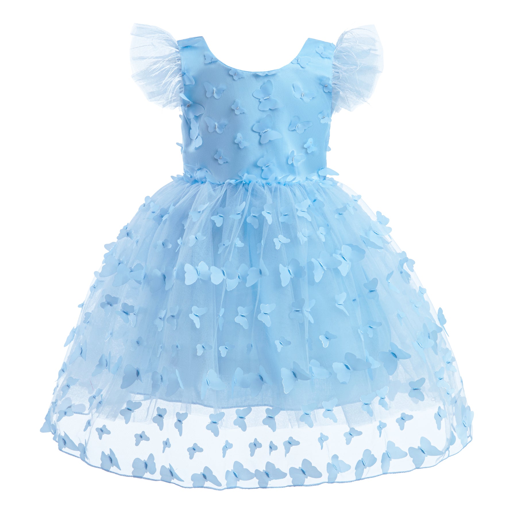 Floral Flutter Sleeve Applique Fit & Flare Dress