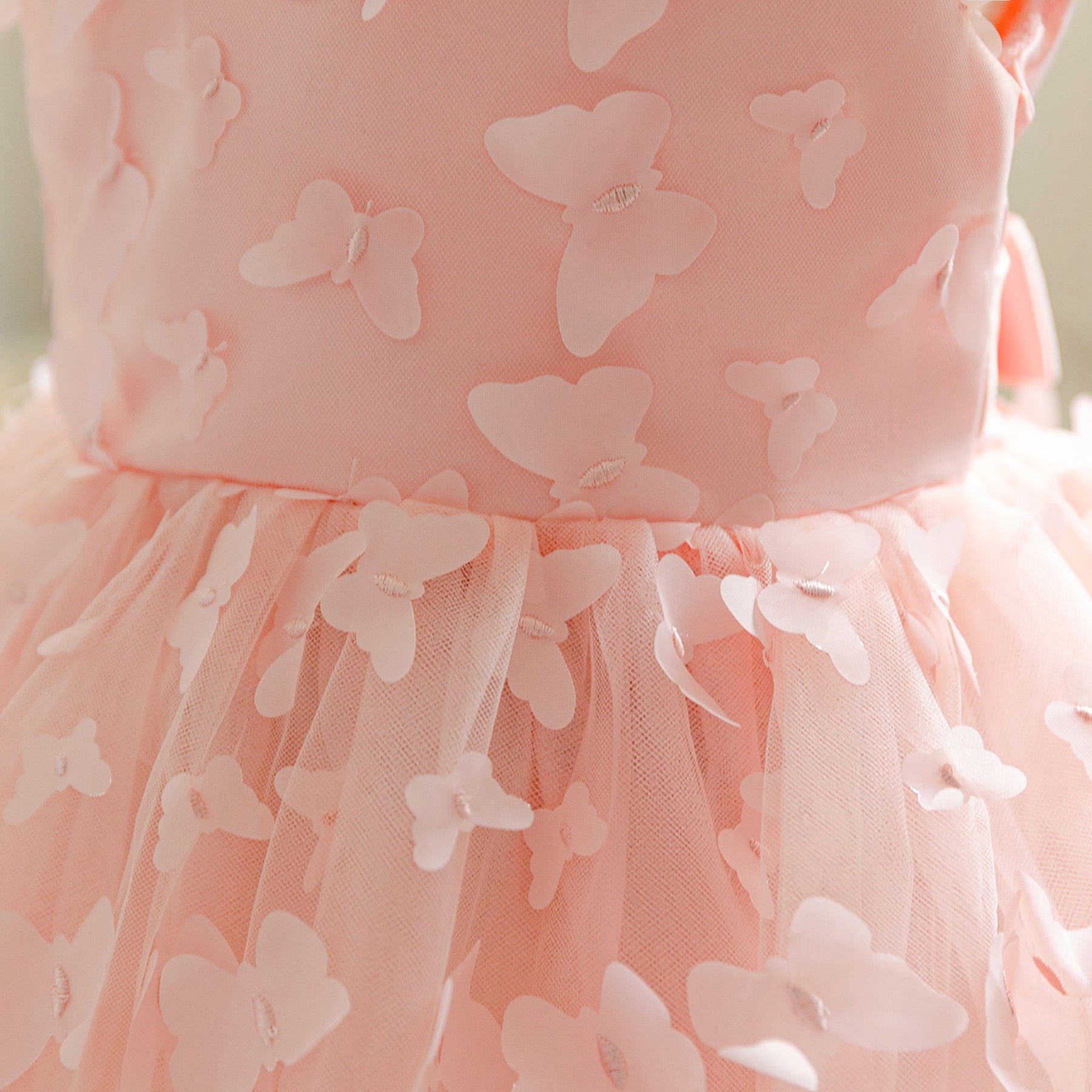 Floral Flutter Sleeve Applique Fit & Flare Dress