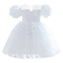 Puff Sleeve Applique Fit & Flare Dress