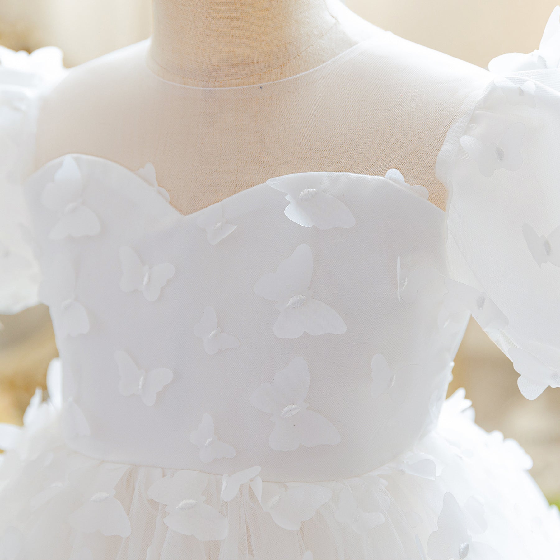Puff Sleeve Applique Fit & Flare Dress