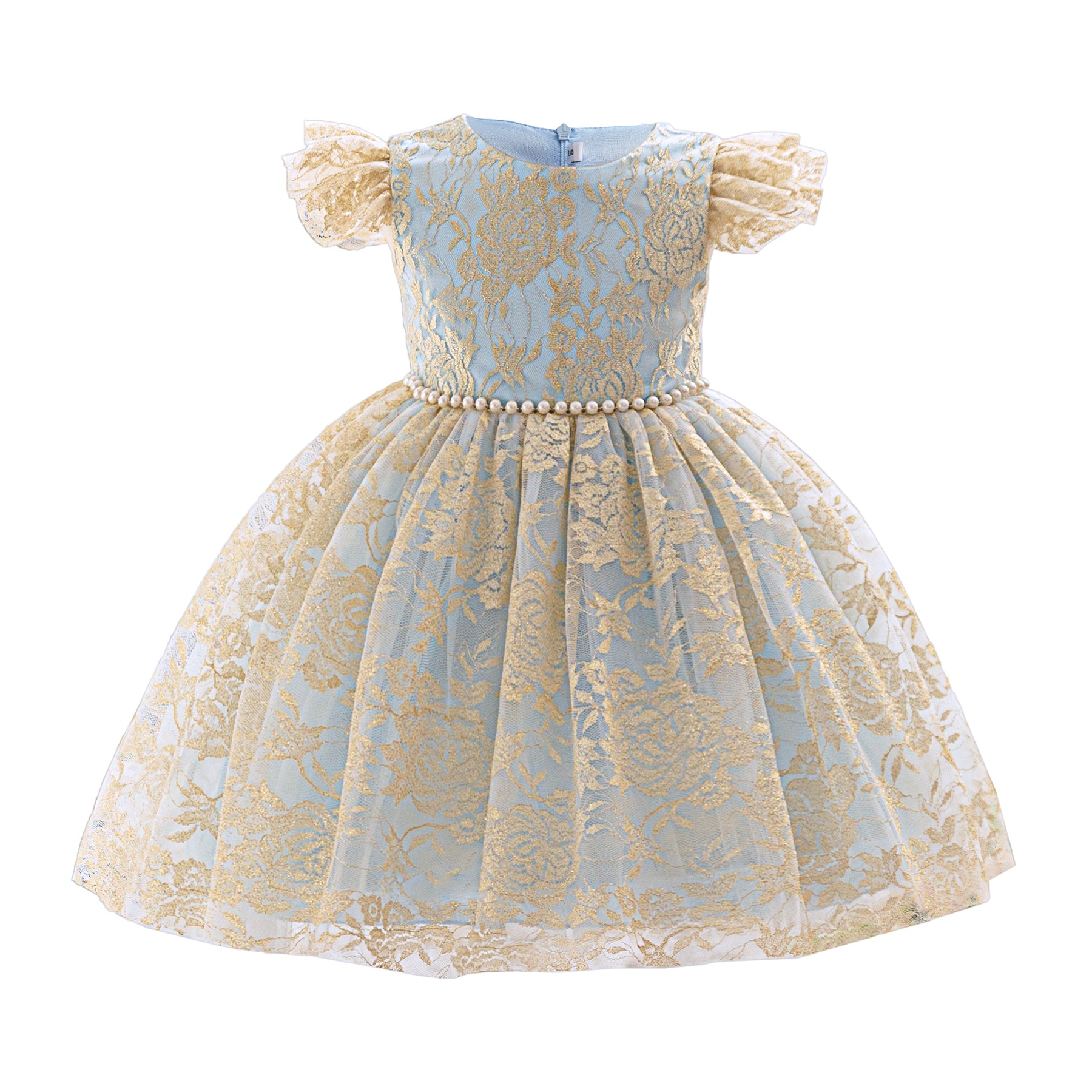 Girls Applique Balloon Dress