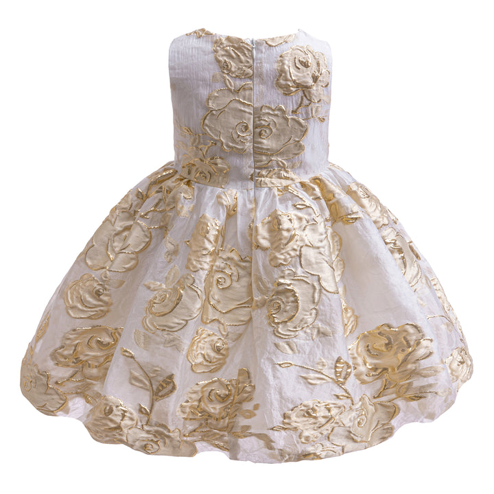 Girls Embellished Fit & Flare Dress