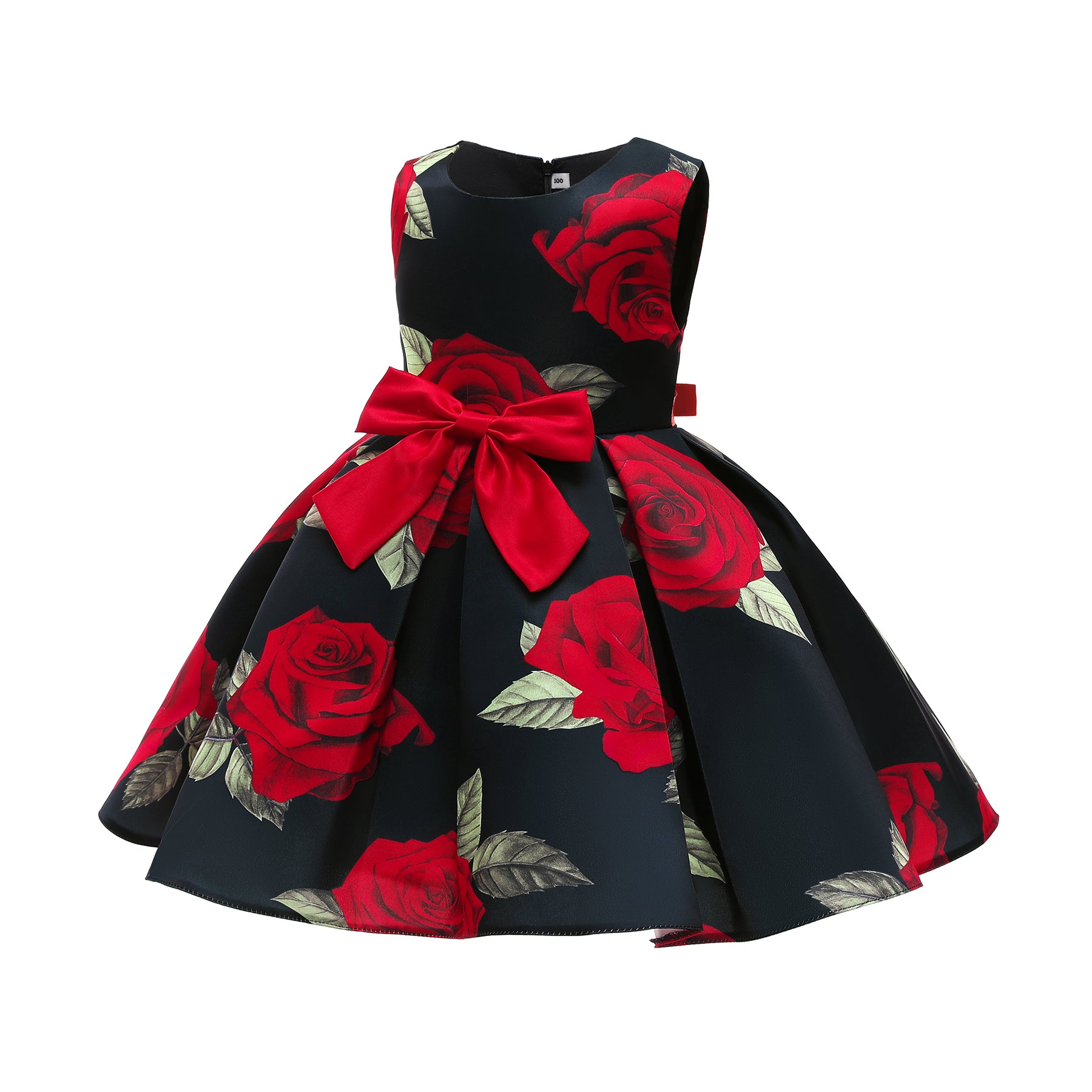 Black & Red Floral Print Fit & Flare Party Dress