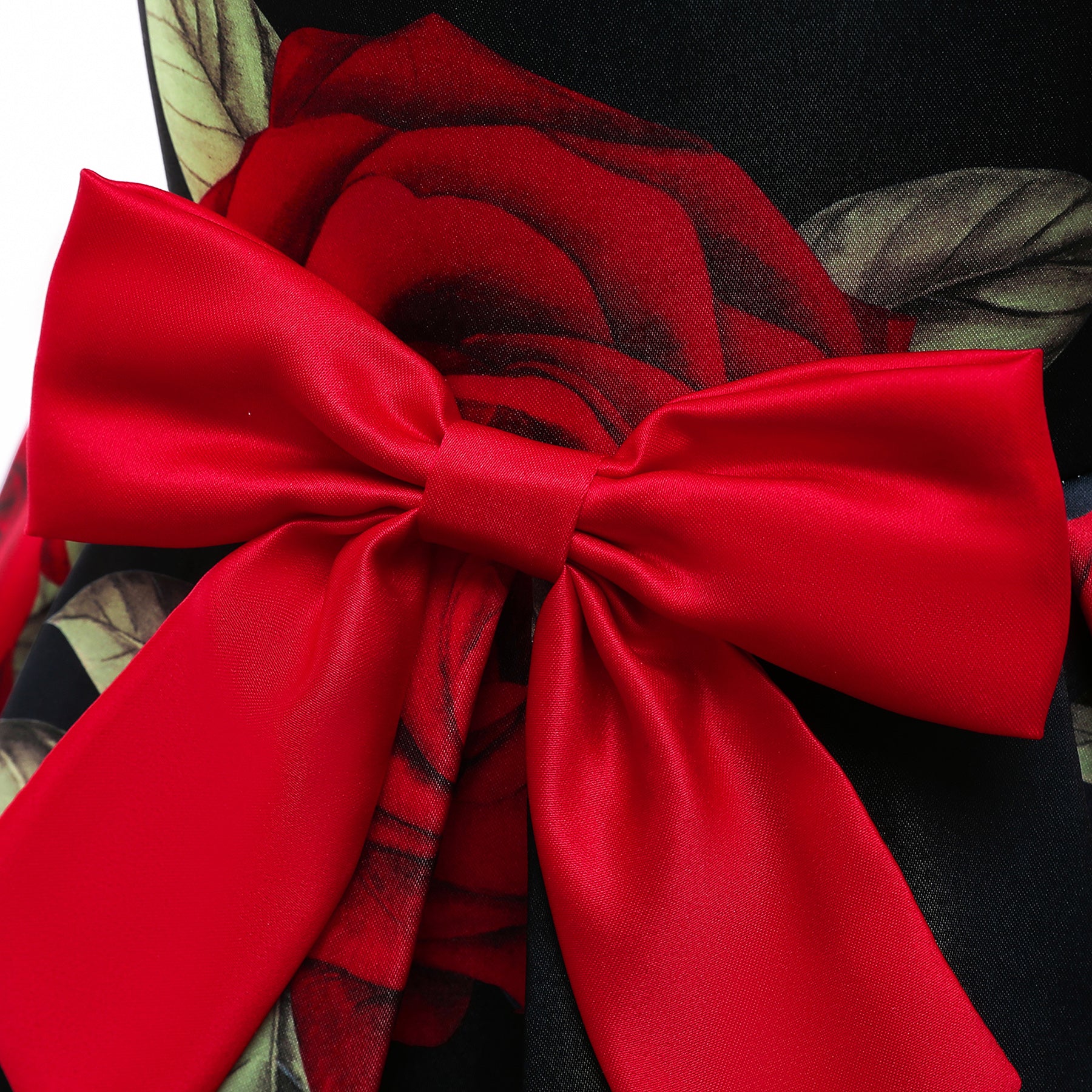 Black & Red Floral Print Fit & Flare Party Dress