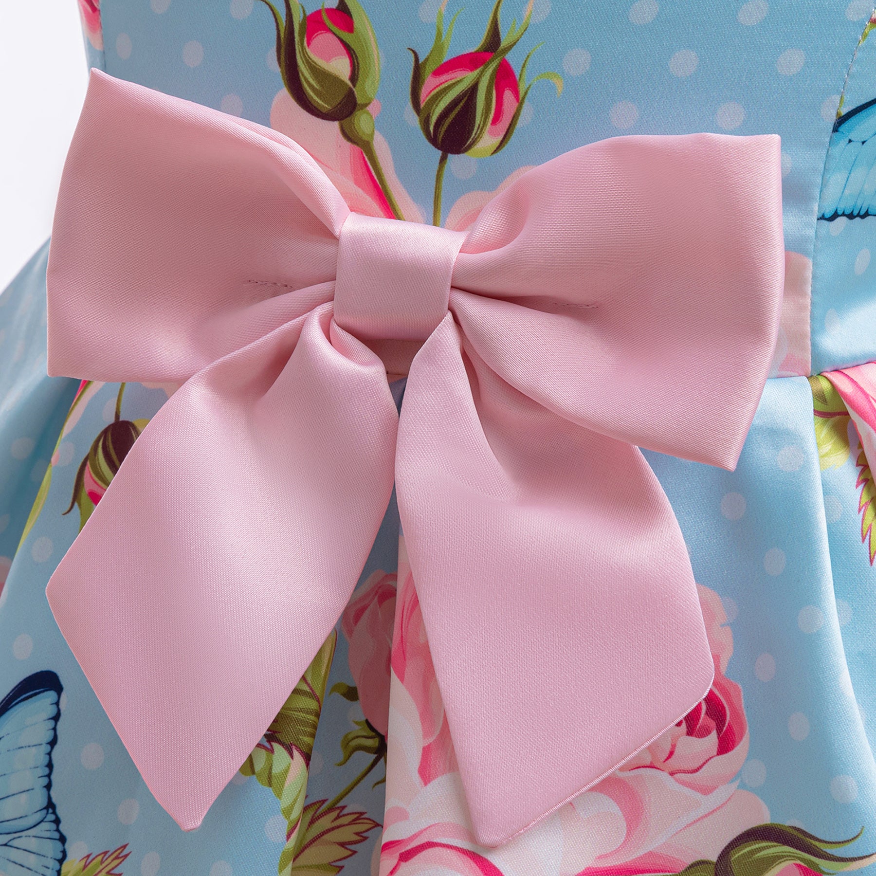 Floral Print Flutter Sleeve Fit & Flare Dress