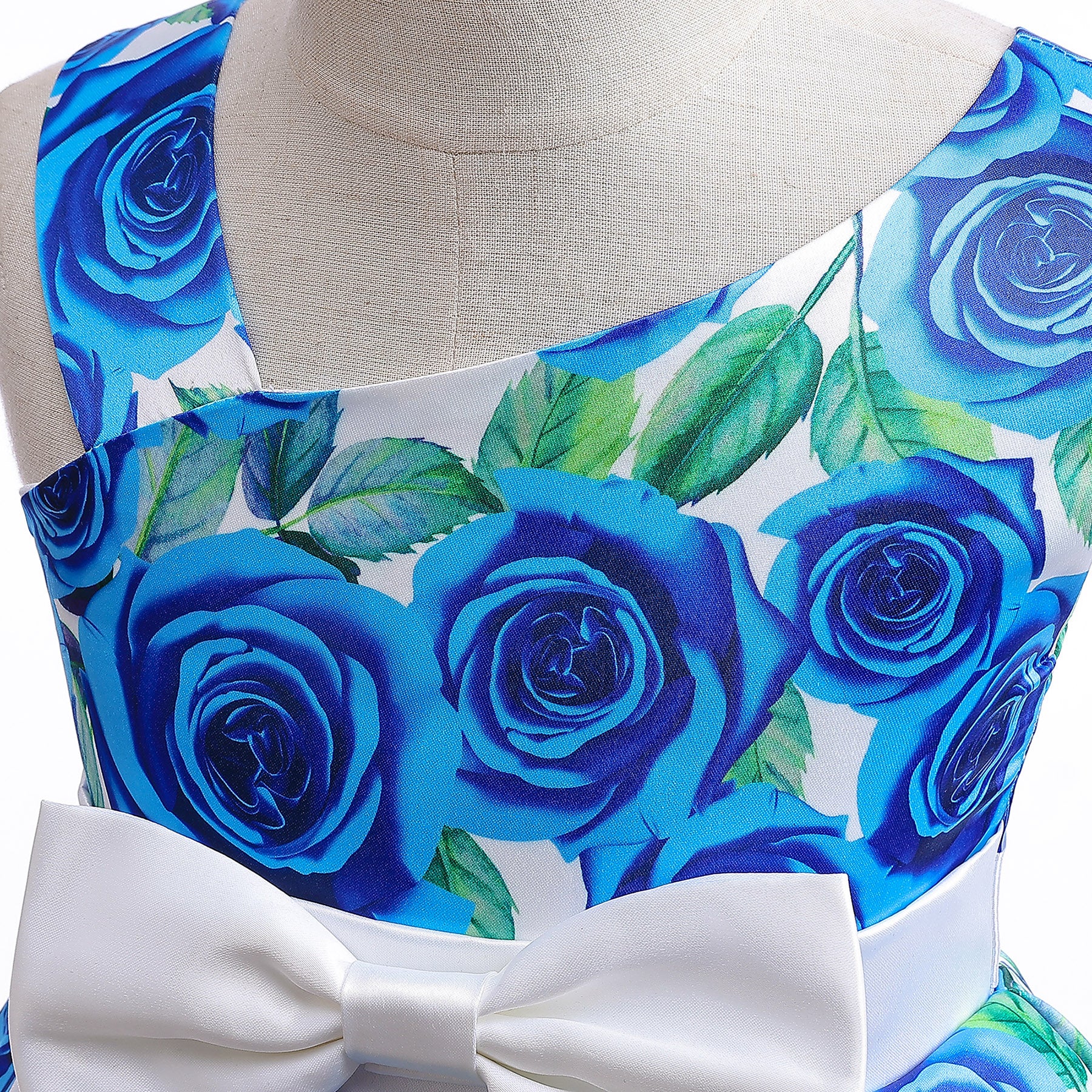 Girls Floral Printed Fit & Flare Dress