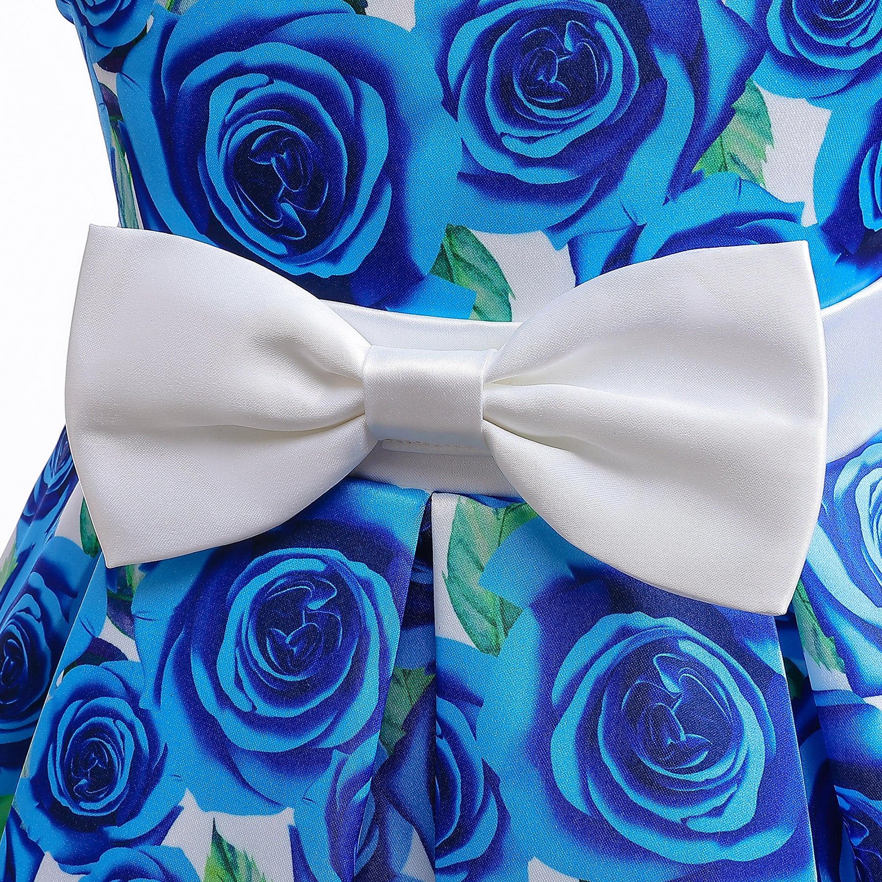 Girls Floral Printed Fit & Flare Dress