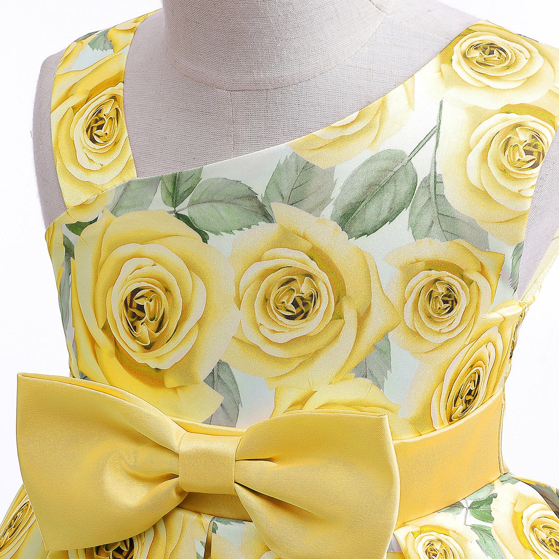 Floral Print Layered Fit & Flare Dress