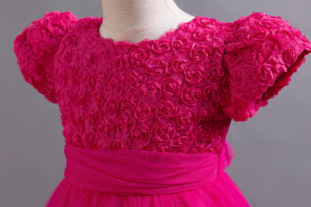 Girls Fuchsia Floral Self Design Puffed Sleeves Fit & Flare Dress