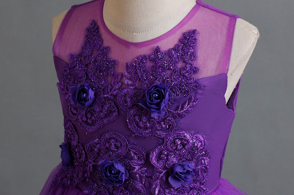 Girls Purple Floral Embroidered Fit and Flare Maxi Dress