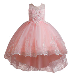Girls Pink Floral Embellished Fit and Flare Balloon Dress