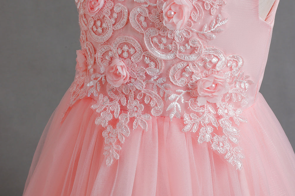 Girls Pink Floral Embellished Fit and Flare Balloon Dress
