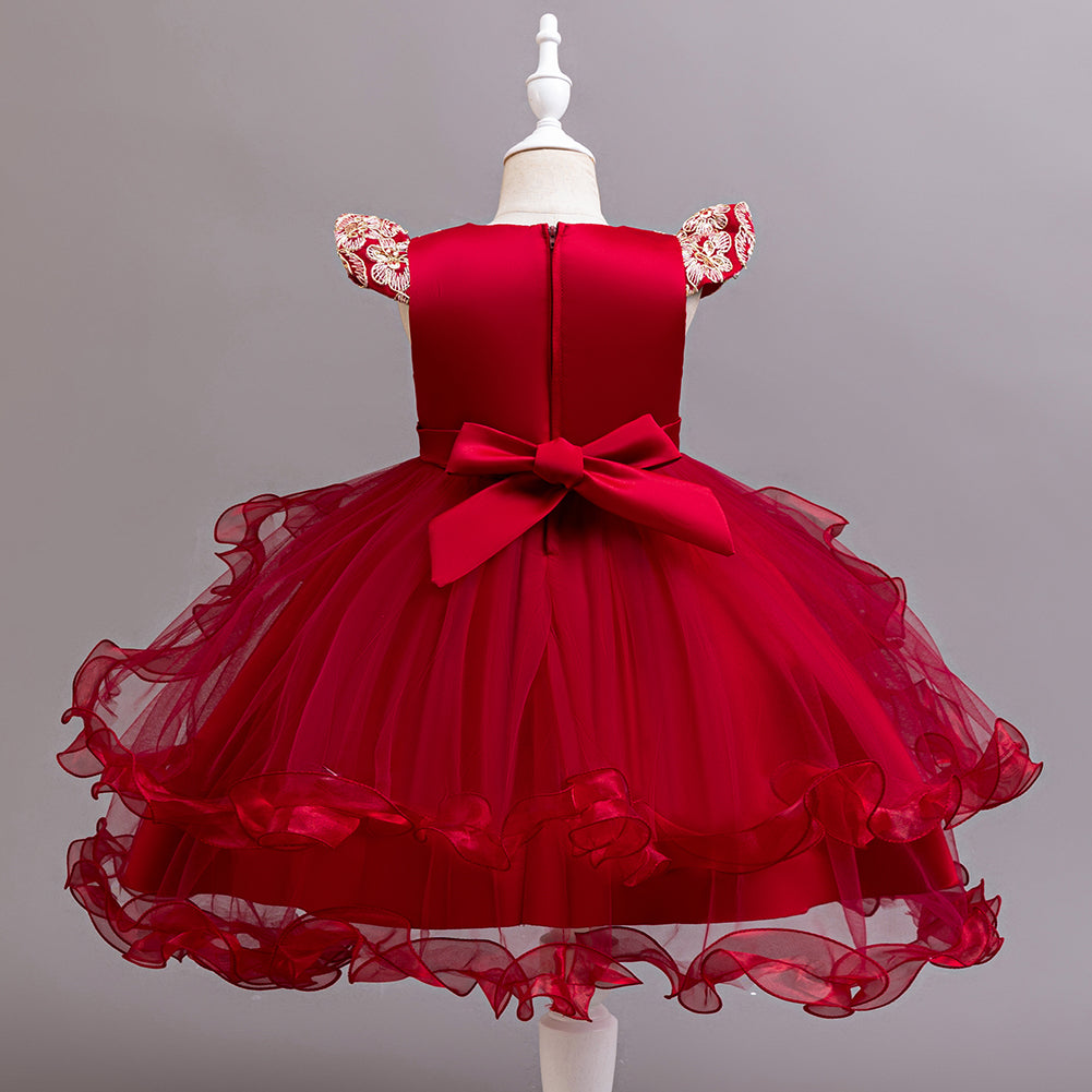 Girls Embroidered Net Balloon Dress