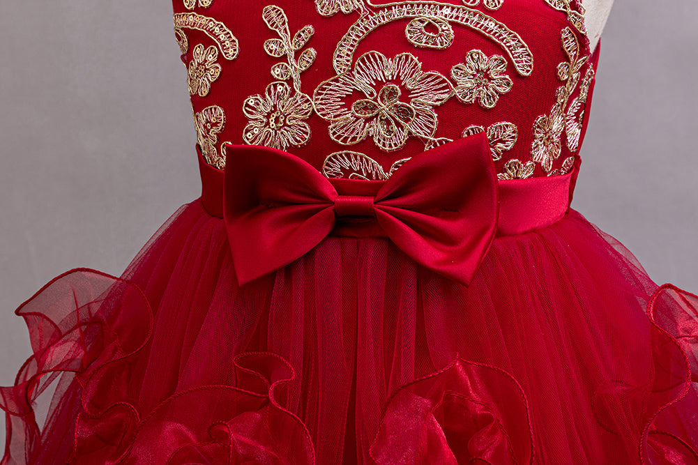 Girls Embroidered Net Balloon Dress