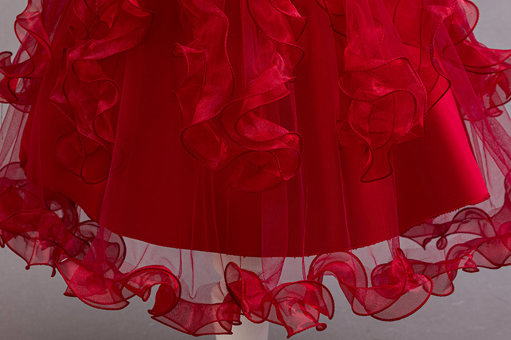 Girls Embroidered Net Balloon Dress