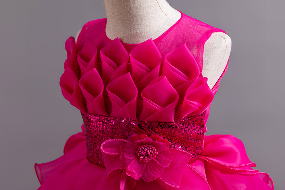 Girls Fuchsia Embellished Layered Fit and Flare Dress