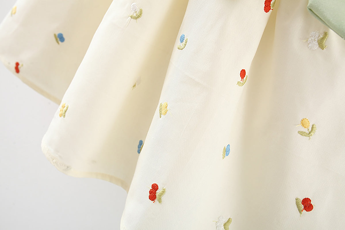 Print Flared Sleeve A-Line Dress
