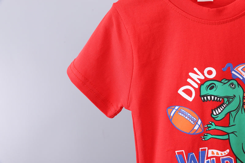 Boys Printed T-shirt with Trousers