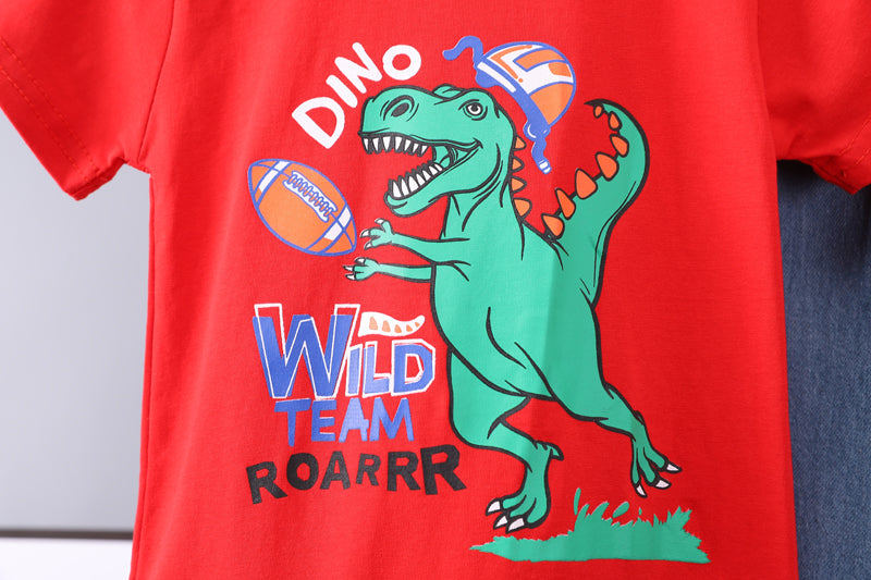 Boys Printed T-shirt with Trousers