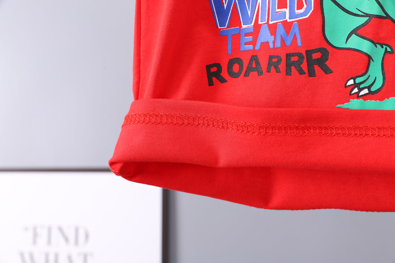Boys Printed T-shirt with Trousers