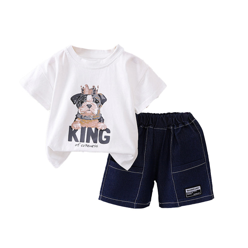 Boys Graphic Printed T-shirt With Shorts