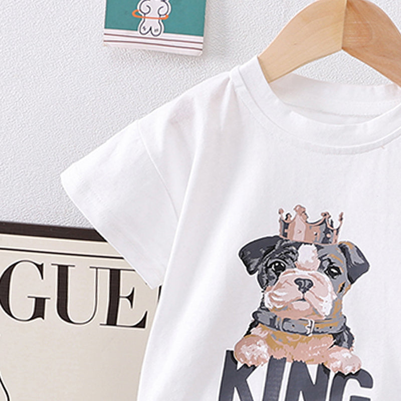 Boys Graphic Printed T-shirt With Shorts