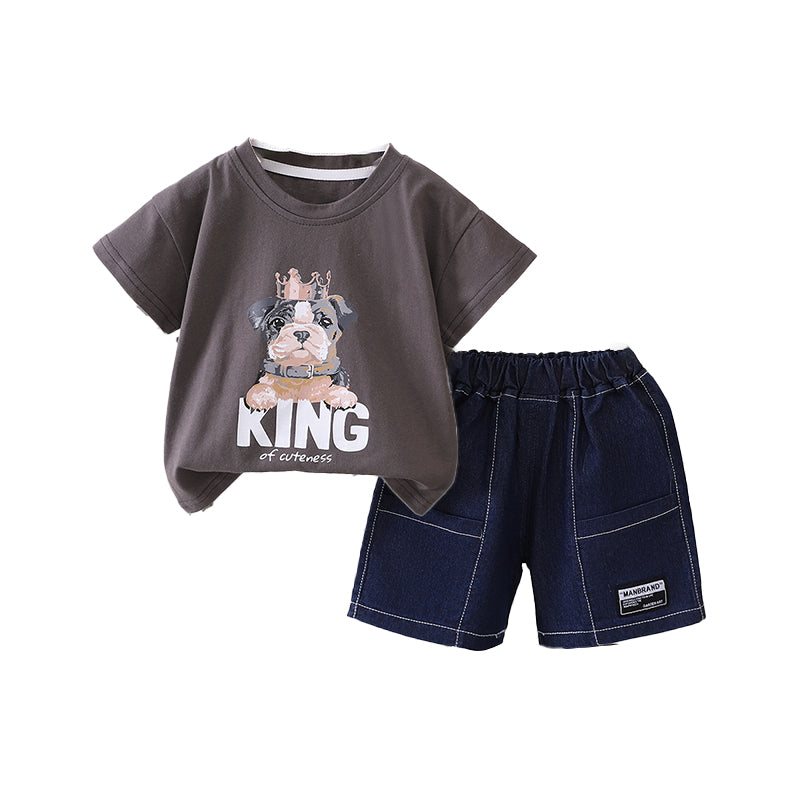 Boys Printed T-shirt With Shorts