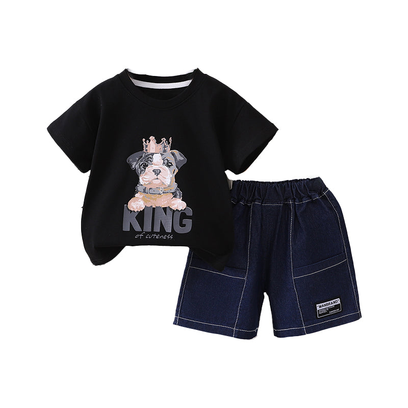 Boys Printed T-shirt With Shorts