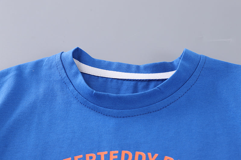 Boys Printed T-shirt With Shorts