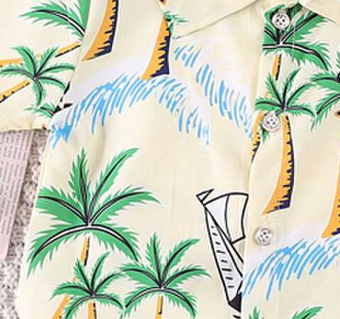 Boys Short Sleeves Printed Shirt with Shorts