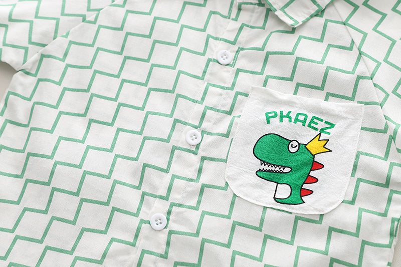 Boys Green Geometric Printed T-shirt With Shorts