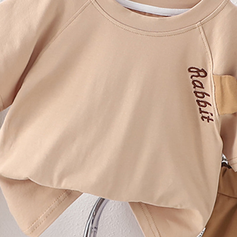 Solid T-shirt and Shorts Set