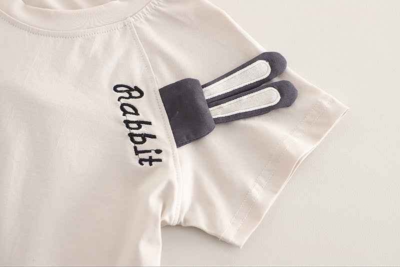 Solid T-shirt and Shorts Set