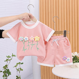 Girls Embroidered Short Sleeves  T-shirt With Shorts