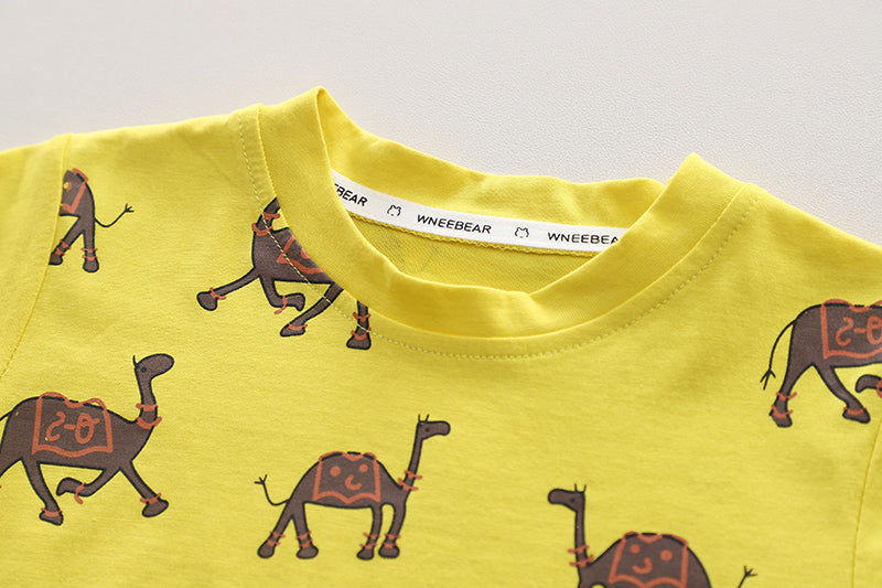 Printed T-shirt and Shorts Set