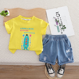 Boys Printed Short Sleeves T-shirt With Shorts