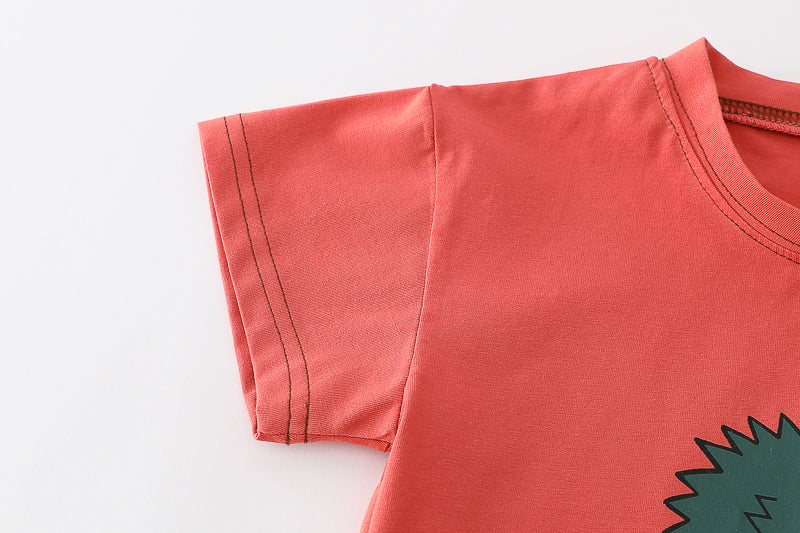 Boys Printed T-shirt With Shorts