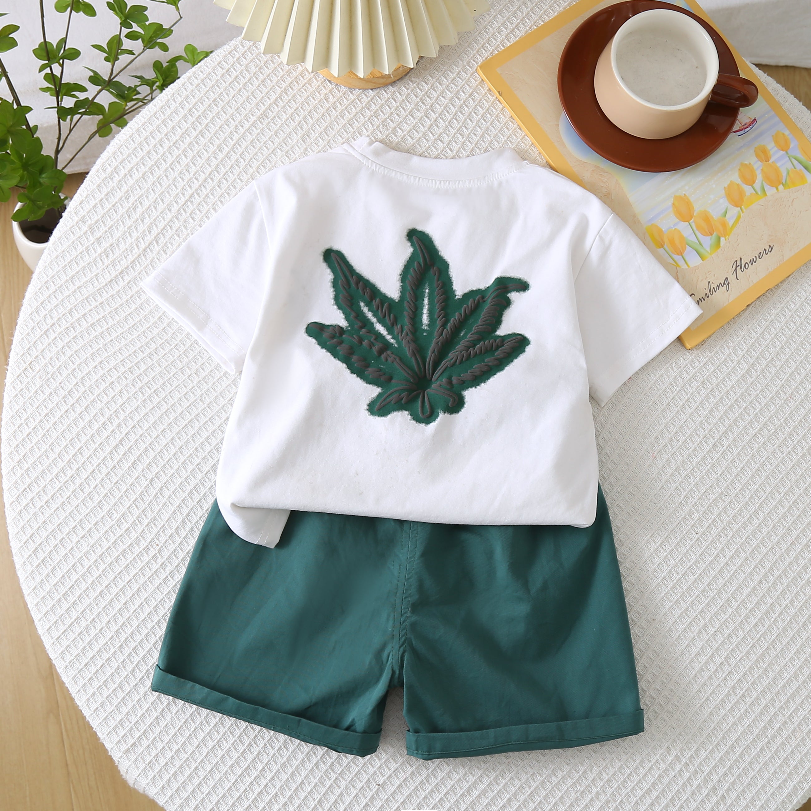 Solid T-shirt and Shorts Set