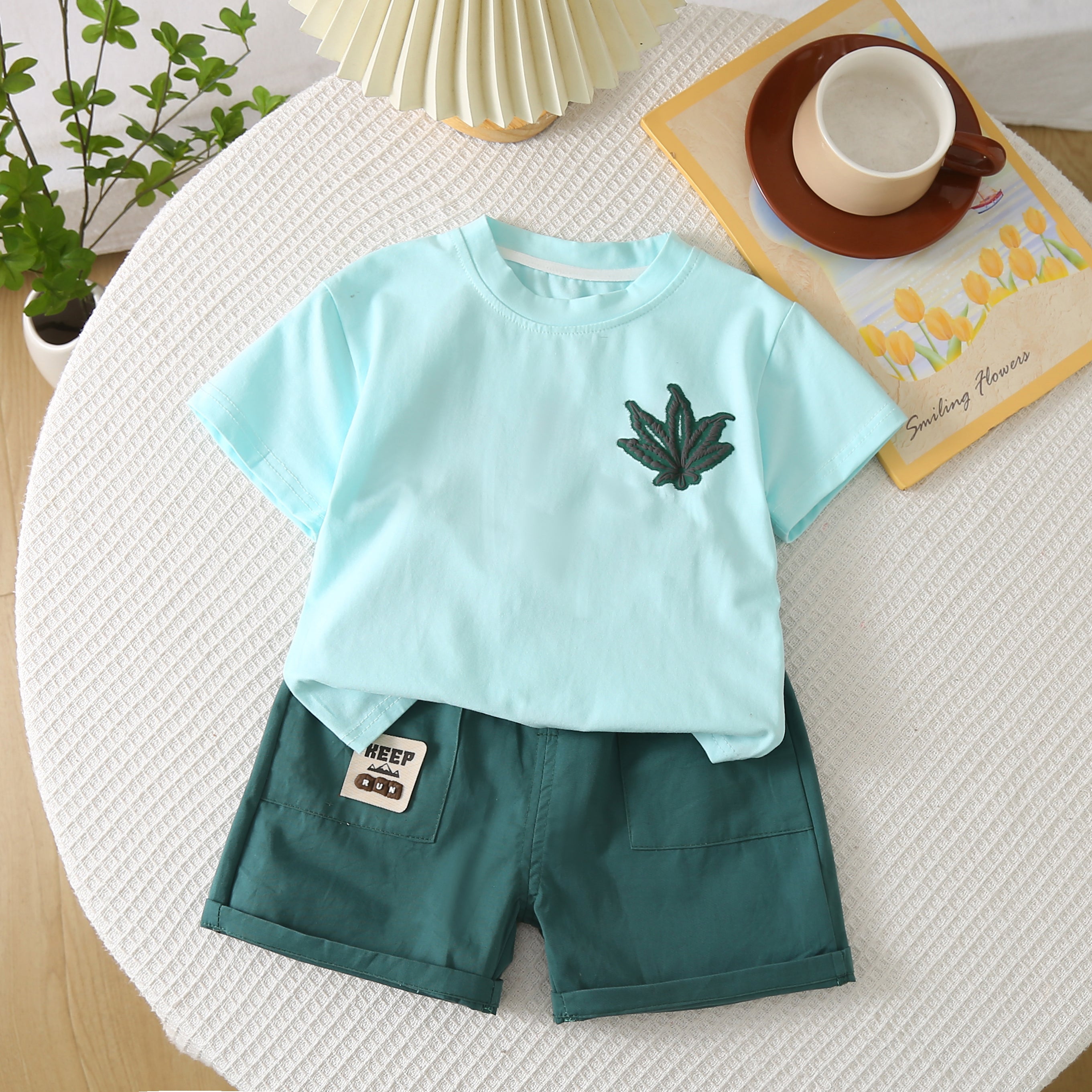 Solid T-shirt and Shorts Set